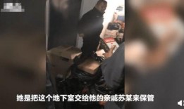 苏弟被爆料偷东西视频,真相与争议并存